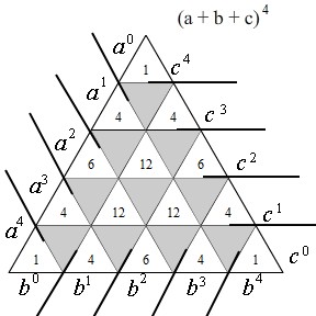 Pyramid Level 4